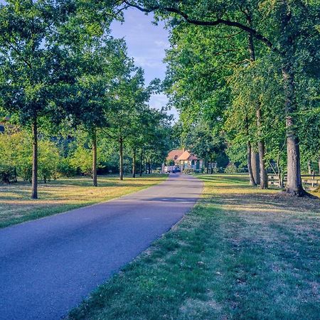 Pferdeparadies Untergruenhagen باد فولنغبوستل المظهر الخارجي الصورة