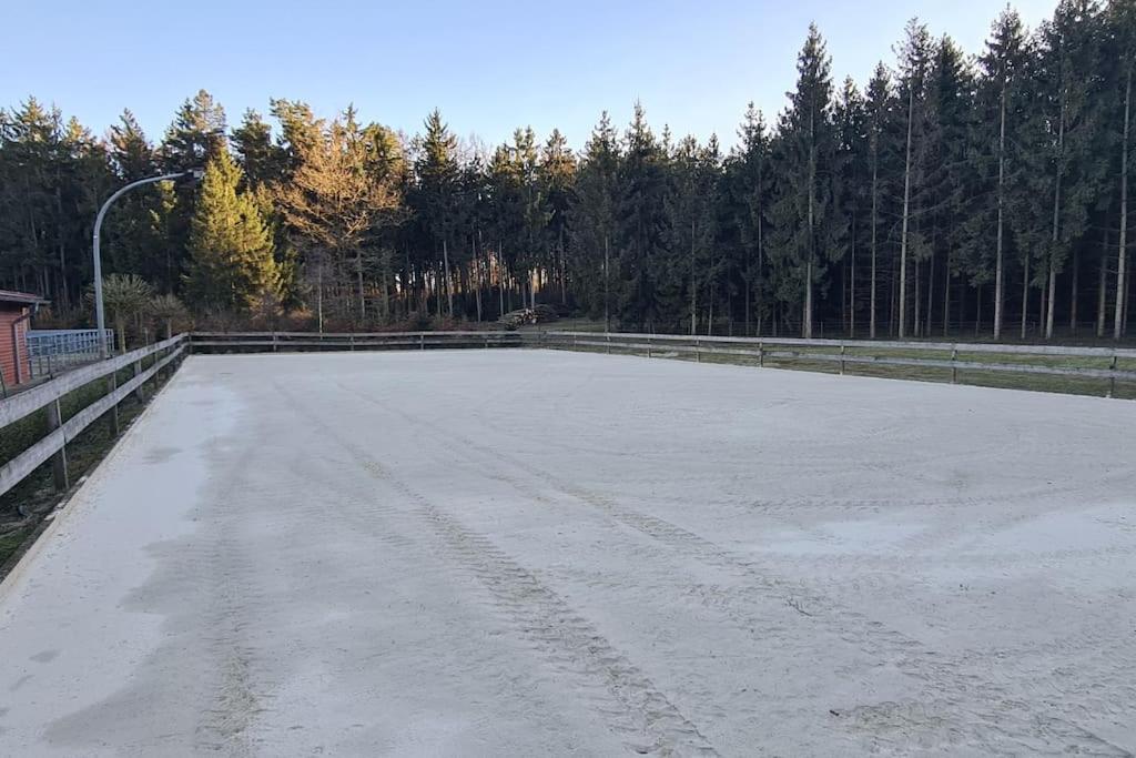 Pferdeparadies Untergruenhagen باد فولنغبوستل المظهر الخارجي الصورة