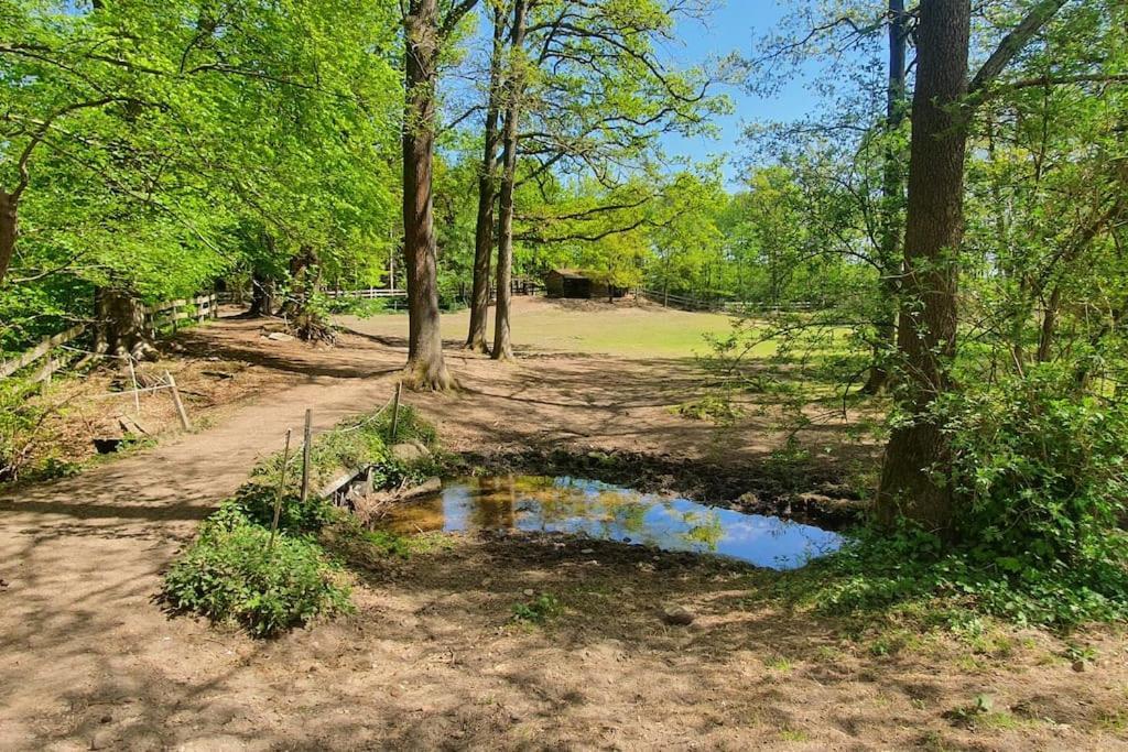 Pferdeparadies Untergruenhagen باد فولنغبوستل المظهر الخارجي الصورة