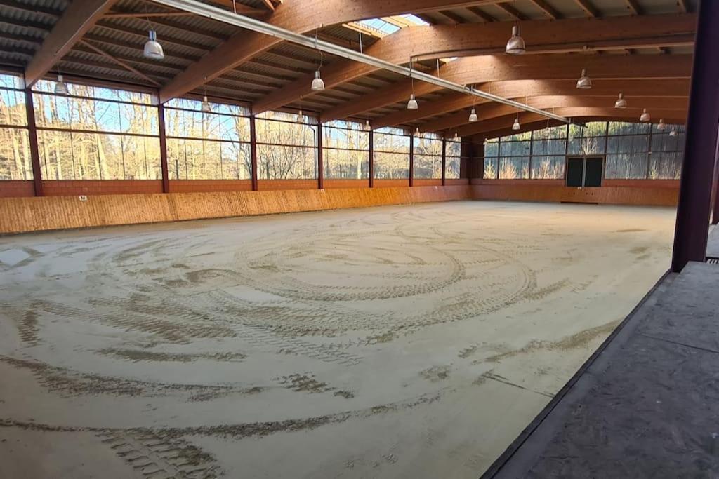 Pferdeparadies Untergruenhagen باد فولنغبوستل المظهر الخارجي الصورة
